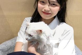 在线打探！51吃瓜中心今天又上演了怎样的瓜林奇遇？