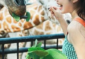 对不起，51黑料苹果版又双叒叕抓住了我当前的注意力。