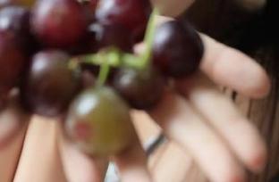 偷偷观看，黑料不打烊的各种线索都在哪里飘荡？