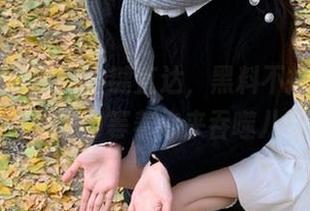 一键直达，黑料不打烊的免费传送门等着你来吞噬八卦